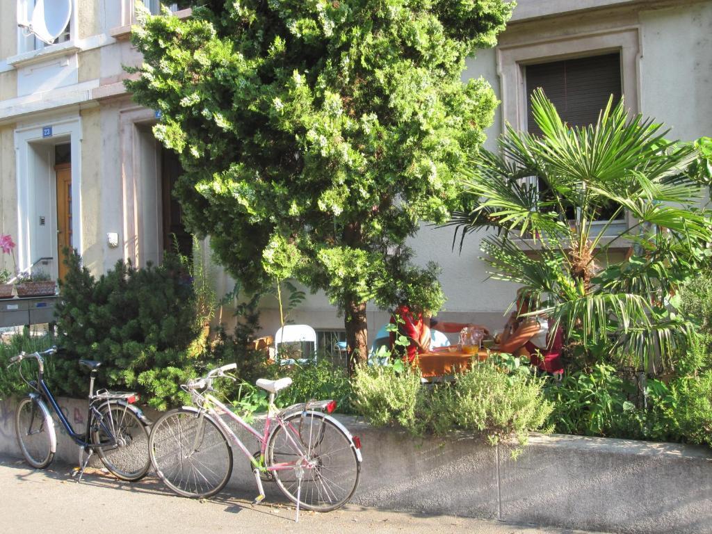 バーゼル B＆B ラ ヴィ アン ローズ Bed & Breakfast エクステリア 写真